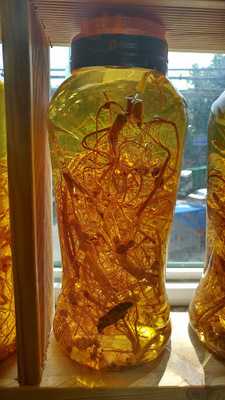 본우리반상 센터원점