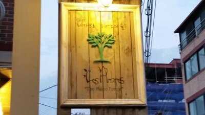 레자브르피아노의숲