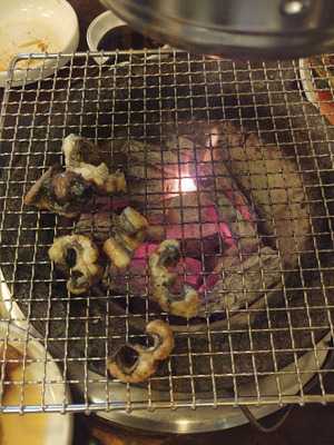 꼼장어무한정리필