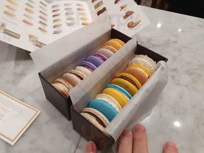 레프레미스