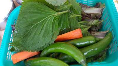 상해돼지숯불갈비