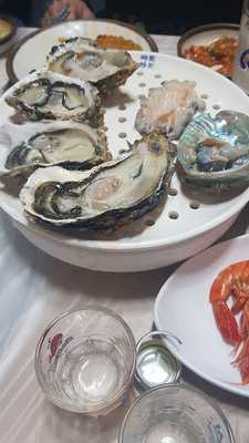 부산갈매기회센터