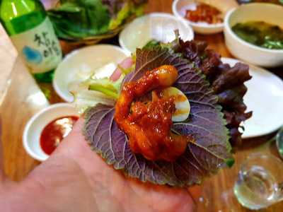 기장산곰장어바다장어