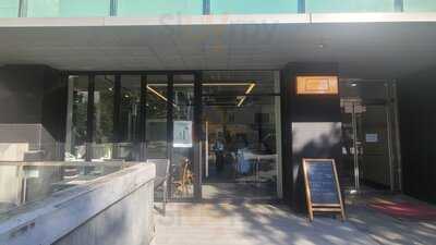 매니페스트커피