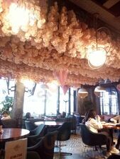 Local Coffee And Pizza