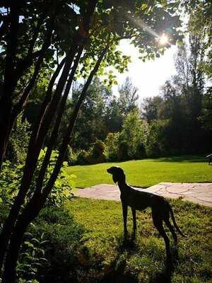 Bellagio Restaurant & Club