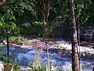 Bellagio Restaurant & Club