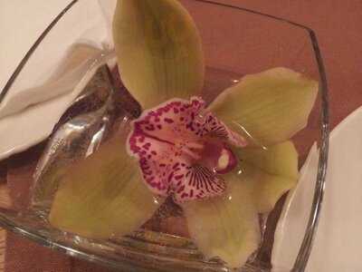 Parmigiano Ristorante Italiano