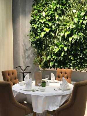 Sydyk Camel Milk Cafe/shop