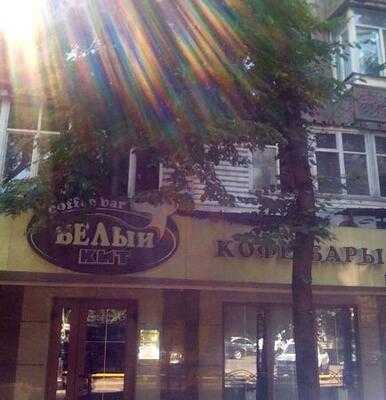 Coffee Bar Belyi Kit