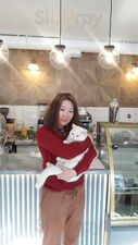 Solo Cat Cafe