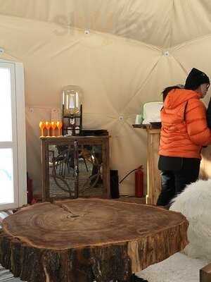 Igloo Food&drinks