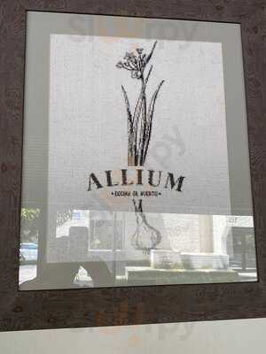 Allium