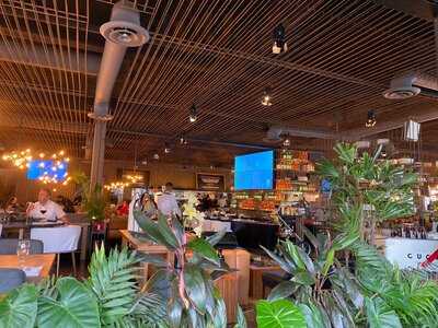 Sonora Grill Terranova