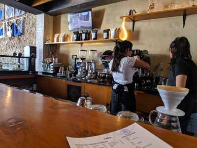 Manifesto: Casa Tostadora Calabrese.