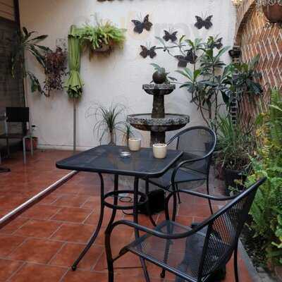 Dan's Café Por Café Oro Maya