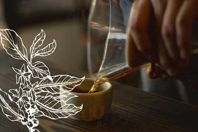 Dan's Café Por Café Oro Maya