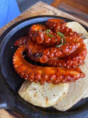 Palominos Providencia