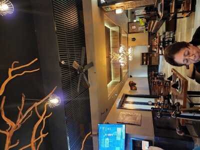 Palominos Providencia