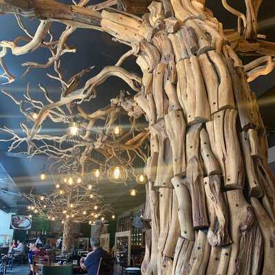 Palominos Providencia