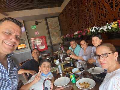 Palominos Providencia