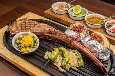 Palominos Providencia