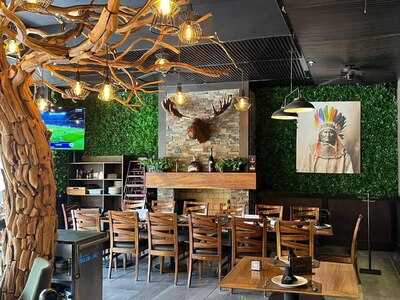 Palominos Providencia