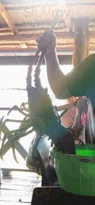 Restaurante Y Cocteleria Marbella