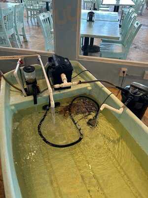 El Timón De Cancún Zh