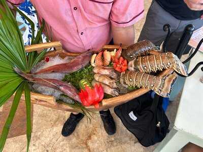 El Timón De Cancún Zh