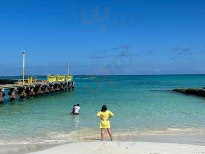 El Timón De Cancún Zh