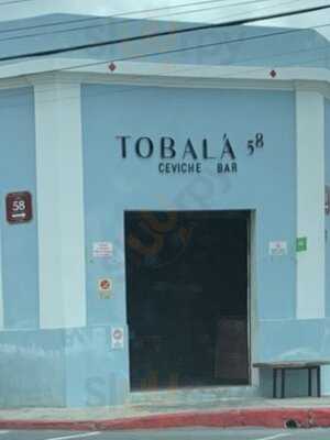 Tobalá 58