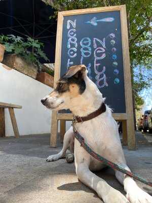 Neretta Café & Gelato