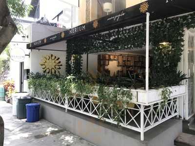 Nerium Cocina Singular