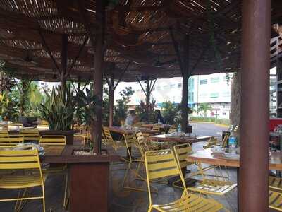 100% Natural Millenium