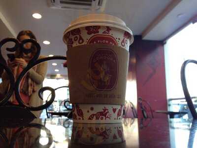 La Flor De Córdoba López Cotilla