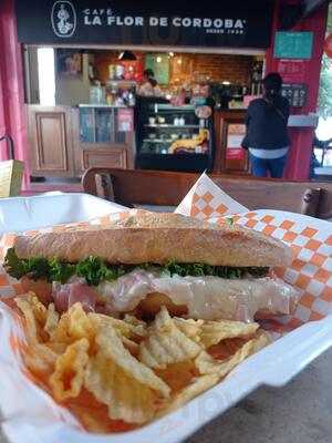 La Flor De Córdoba López Cotilla