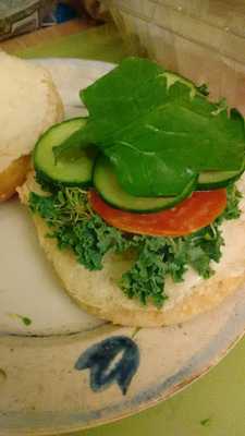 Cafe Organico Sandunga