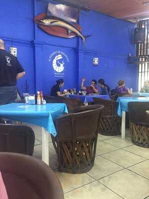 El Venado De Mazatlan