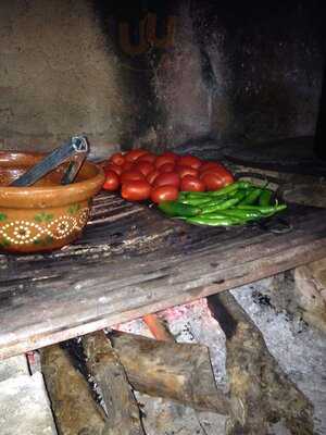 Vivero Galeria Carnitas