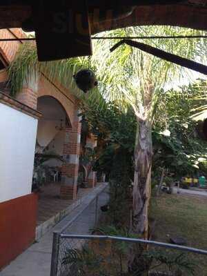 Vivero Galeria Carnitas