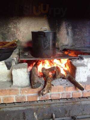 Vivero Galeria Carnitas