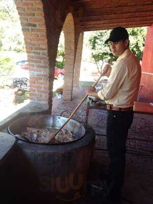 Vivero Galeria Carnitas