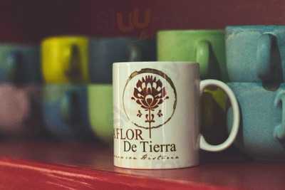 A Flor De Tierra