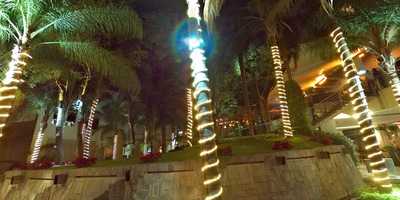 Black Coffee Gallery