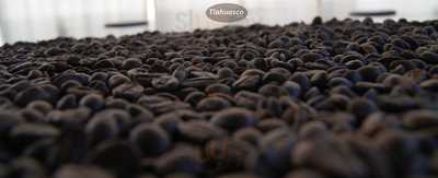 Tlahuasco Cafetería