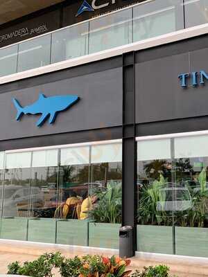 Tintorera Bar Marino