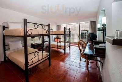 Flor De Loto - Guadalajara