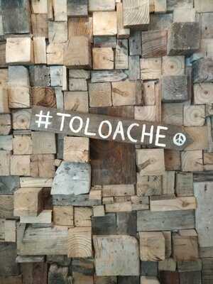 Toloache Café