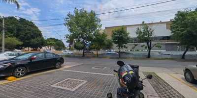 Photo 4